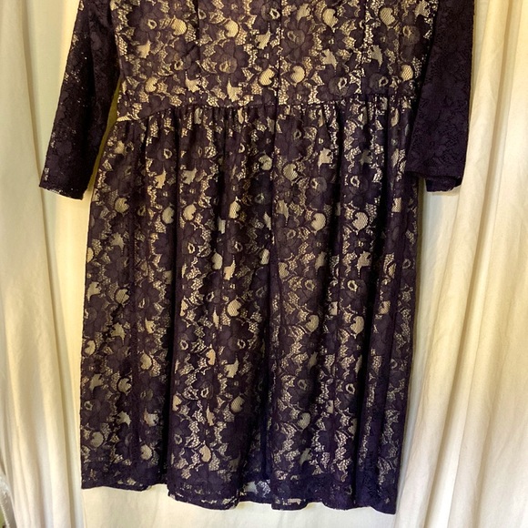 French Connection Navy Blue Lace Dress - Picture 5 of 15